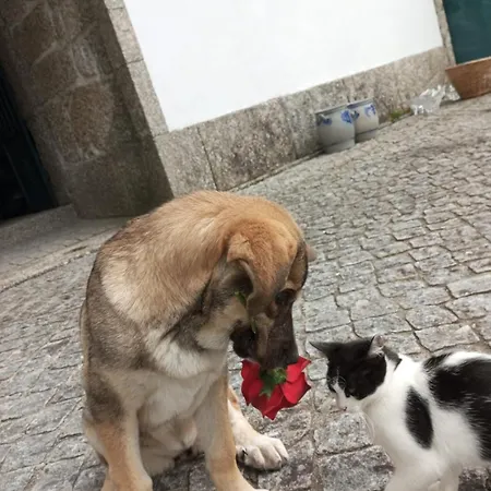 农家乐 Quinta Do Sameiro *